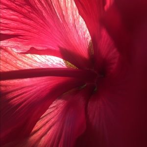 Meet your Posher, Ellery